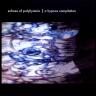 Echoes of Polyhymnia